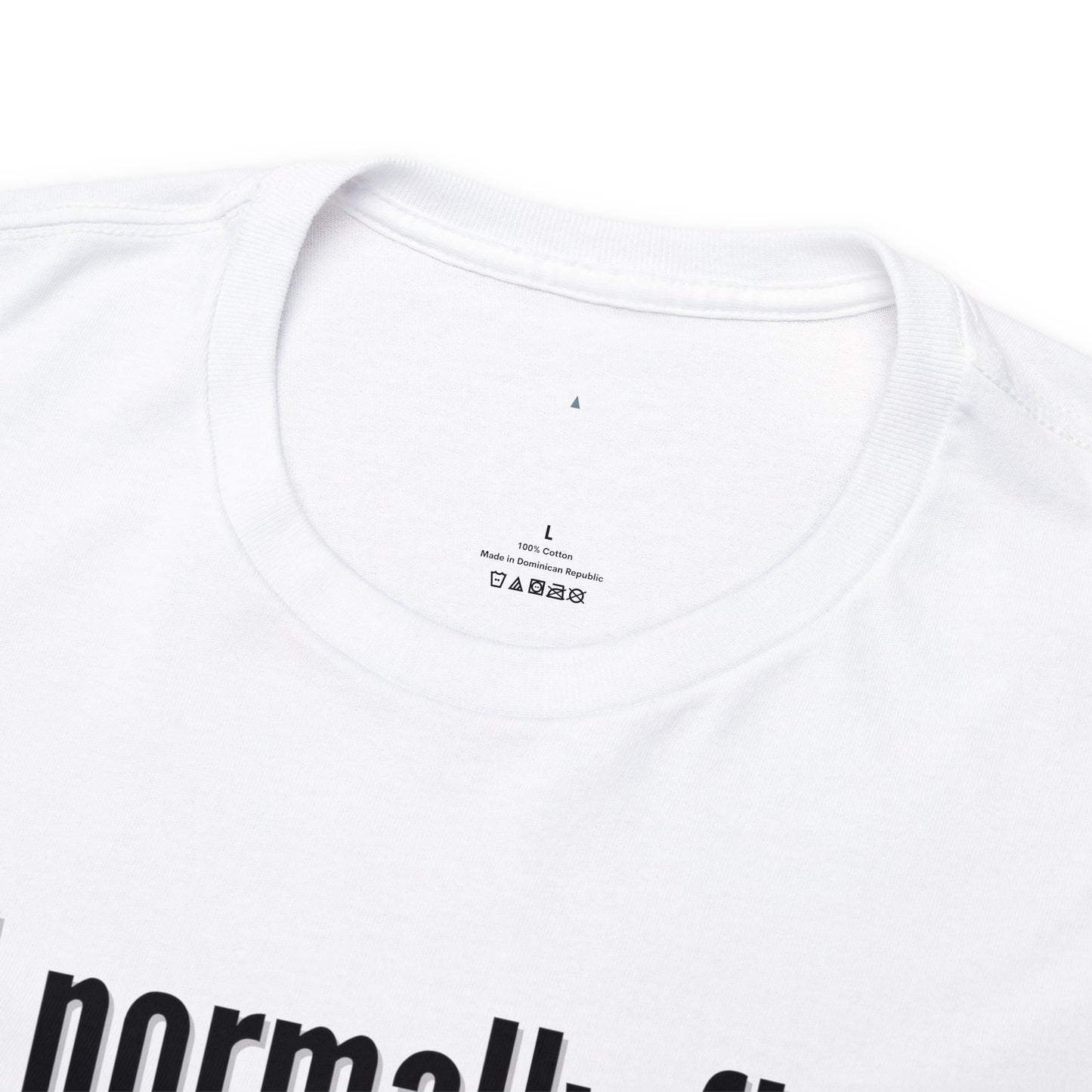 I normally Fly 1st Class T-Shirt, Funny Travel Tee