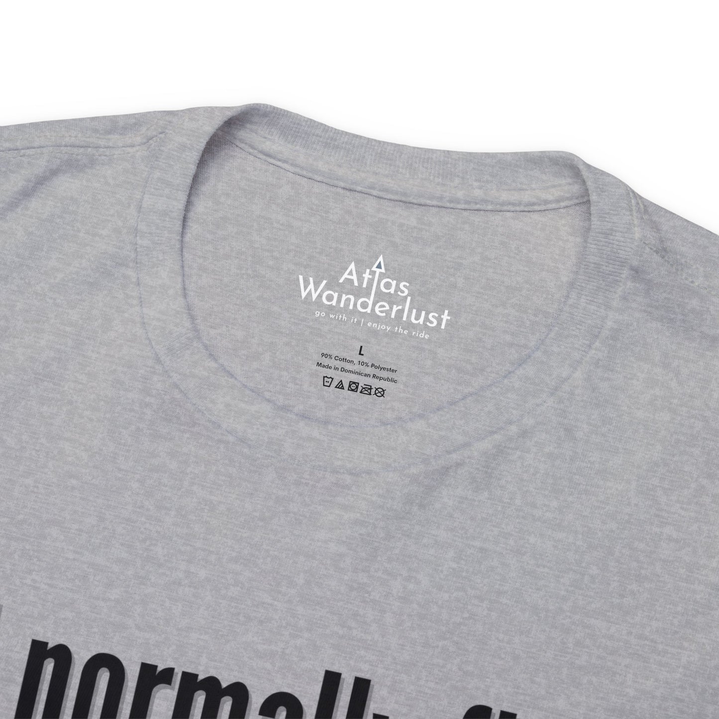 I normally Fly 1st Class T-Shirt, Funny Travel Tee
