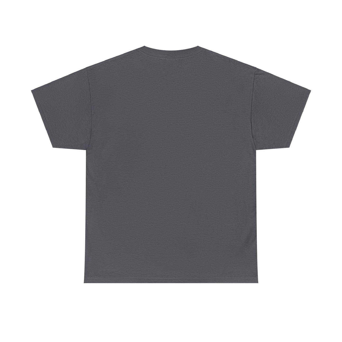 Amsterdam Netherlands Coordinates T-Shirt, Modern Holland Tee