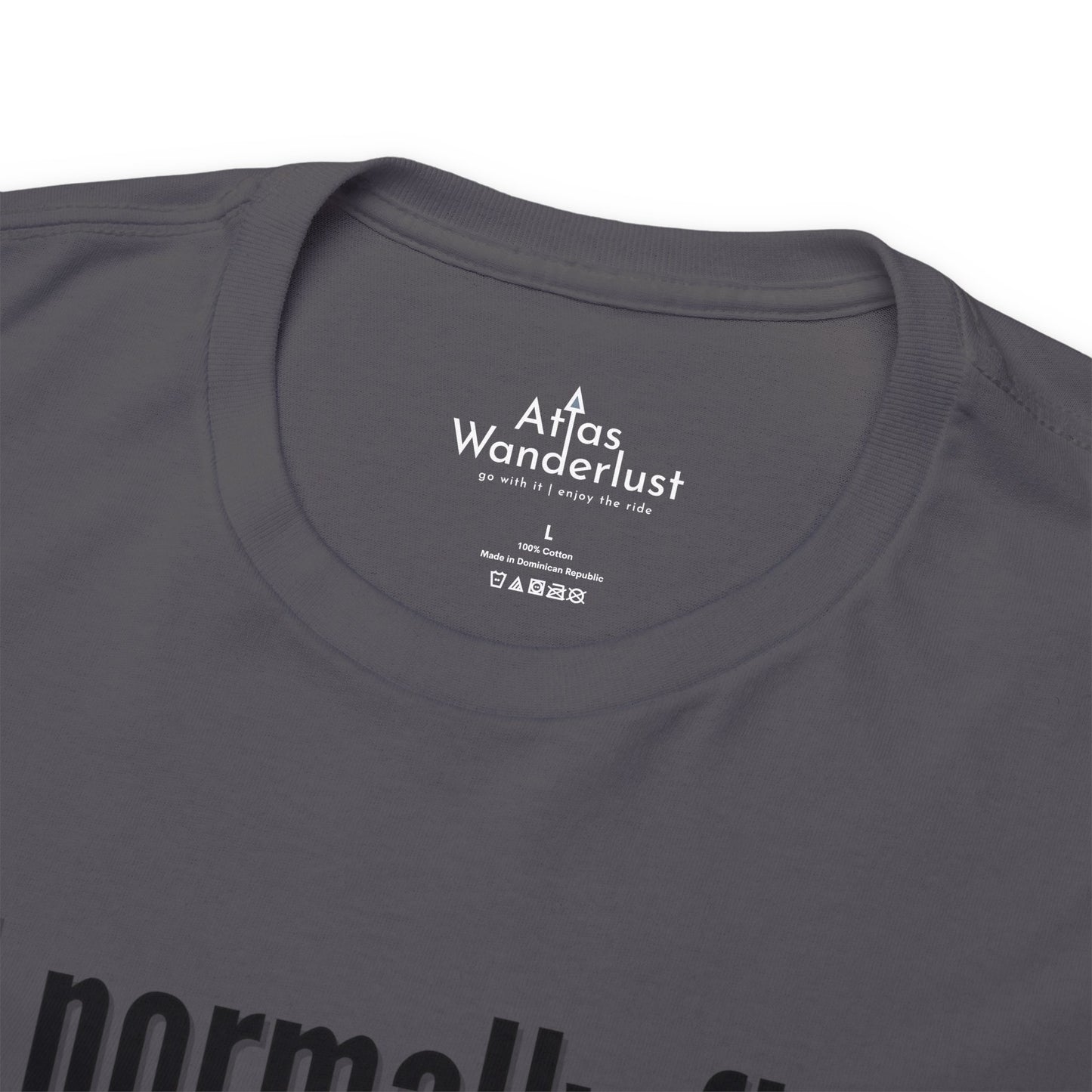 I normally Fly 1st Class T-Shirt, Funny Travel Tee