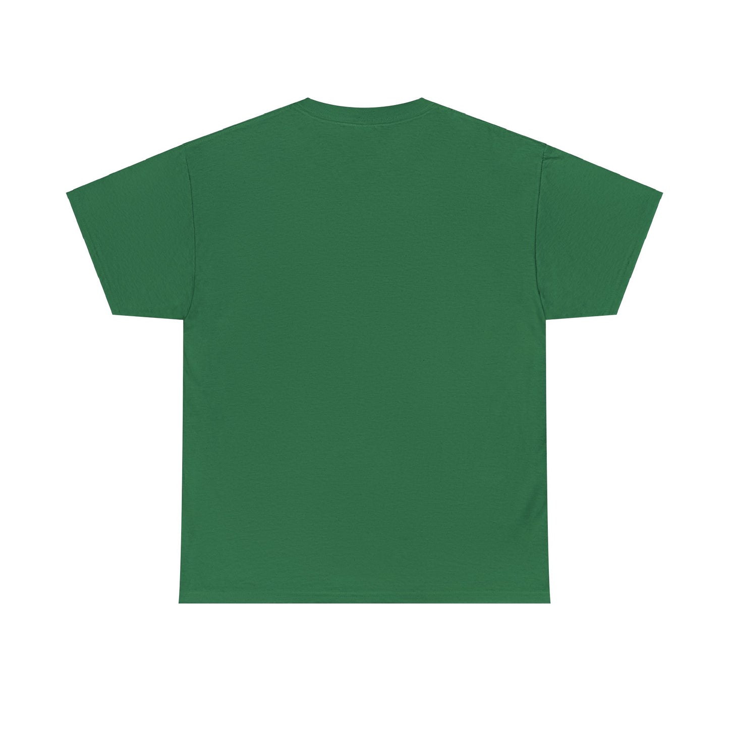 I normally Fly 1st Class T-Shirt, Funny Travel Tee
