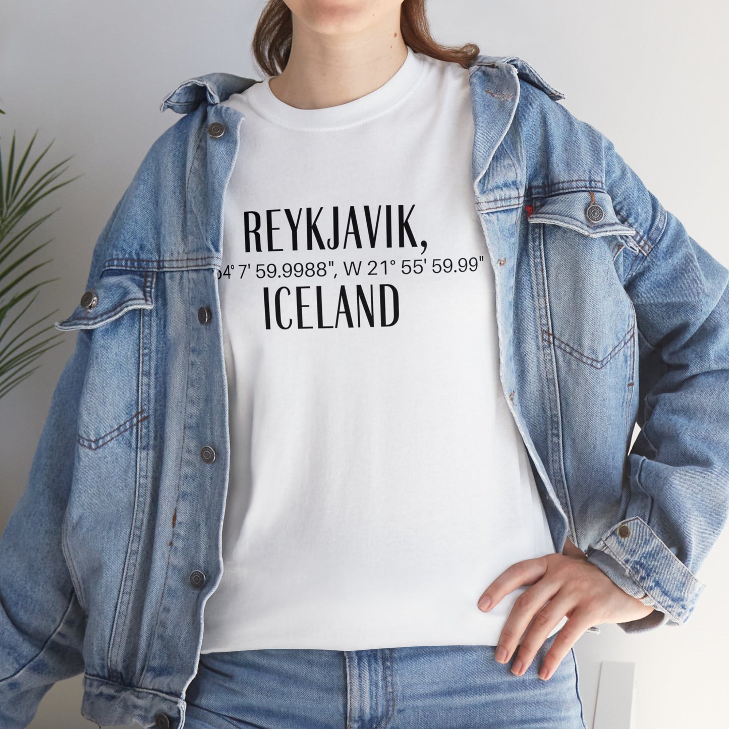 Reykjavik Iceland Coordinates T-Shirt, Modern Travel Tee