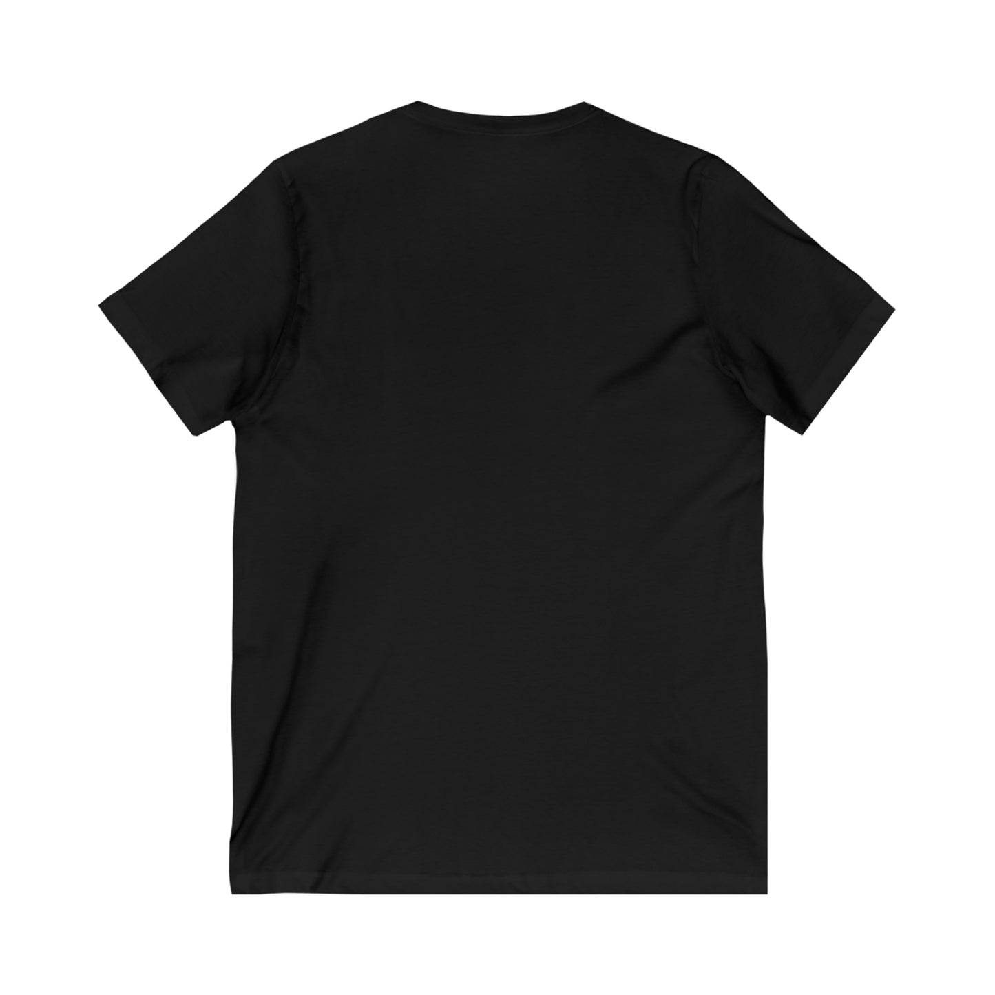 Venice, Italy Coordinates V-Tee