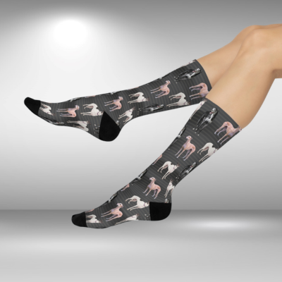 Greyhound Socks Photoshoot Unisex Adult Stretchy Mid Calf Original