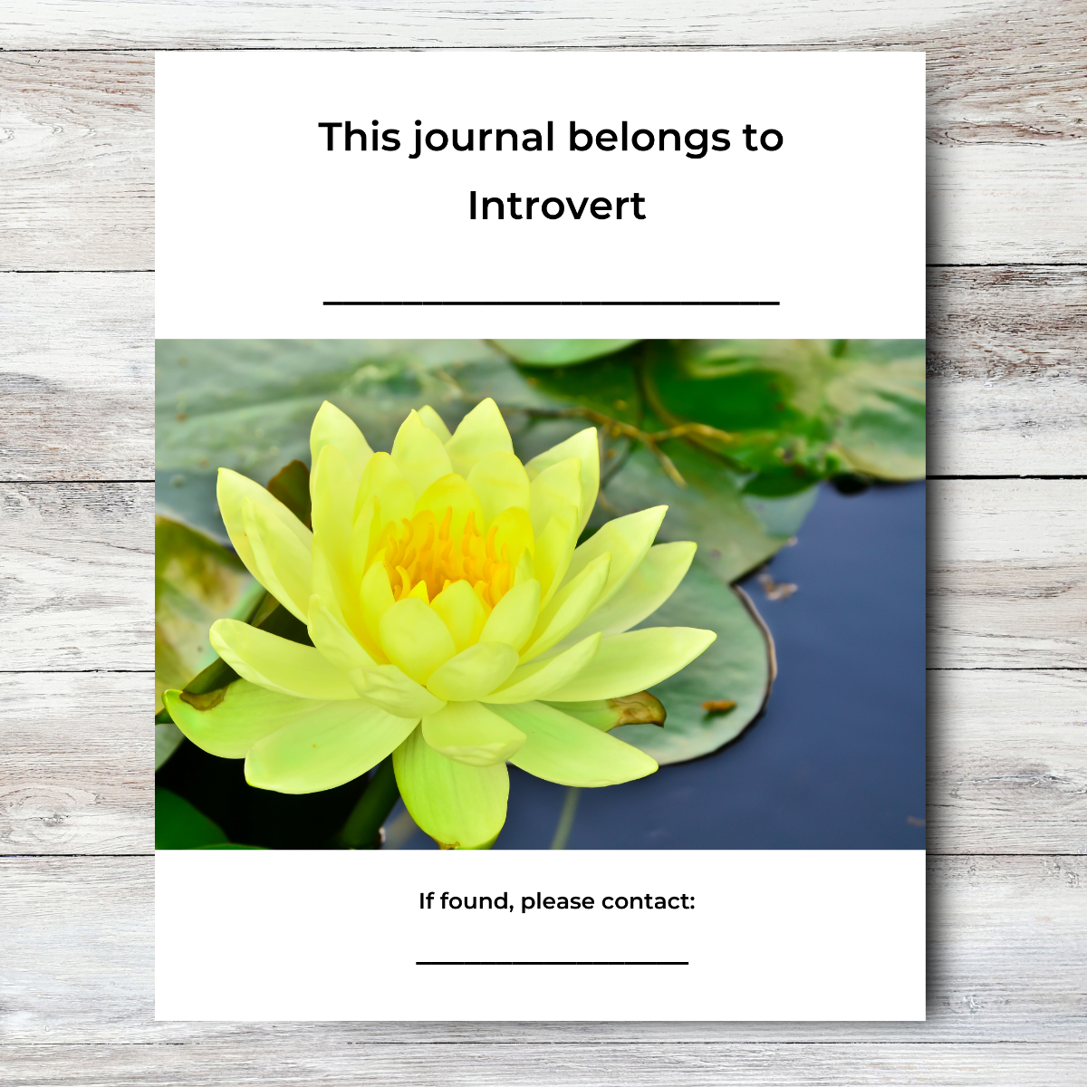 Journal of an Introvert: Aware / Independent / Reserved