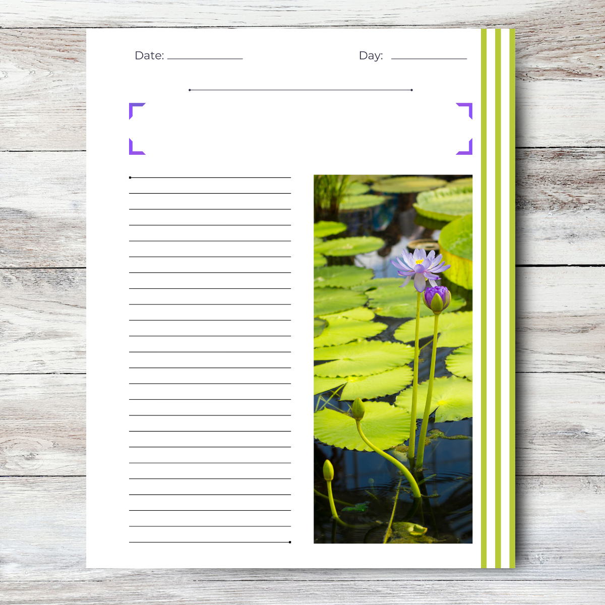 Journal of an Introvert: Aware / Independent / Reserved