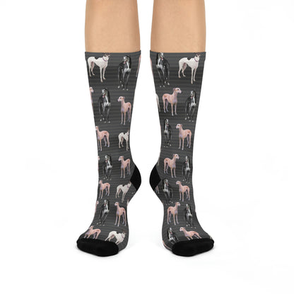 Greyhound Socks Photoshoot Unisex Adult Stretchy Mid Calf Original